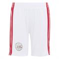 Adidas ajax h mini