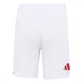 Adidas ajax h mini