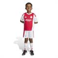 Adidas ajax h mini