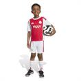Adidas ajax h mini