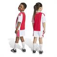 Adidas ajax h mini