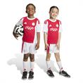 Adidas ajax h mini