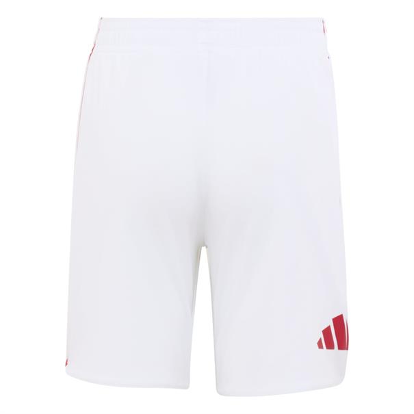 Adidas ajax h mini