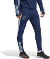 Adidas ajax tr pnt