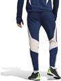 Adidas ajax tr pnt