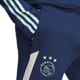Adidas ajax tr pnt