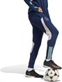 Adidas ajax tr pnt