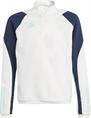 Adidas ajax tr top y