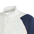 Adidas ajax tr top y