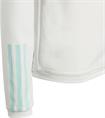 Adidas ajax tr top y