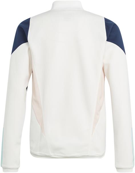 Adidas ajax tr top y