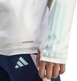 Adidas ajax tr top