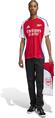 Adidas Arsenal 24/25 Thuisshirt
