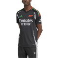 Adidas Arsenal 24/25 Uitshirt