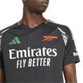 Adidas Arsenal 24/25 Uitshirt