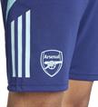 Adidas Arsenal Tiro 24 Training Short