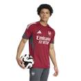 Adidas Arsenal Tiro 25 Competition Training Voetbalshirt