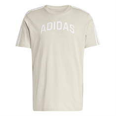 Adidas Codes Collegiate Linear Graphic T-shirt