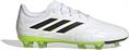 Adidas copa pure.2 fg