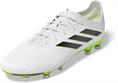 Adidas copa pure.2 fg