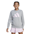 Adidas Essentials Sweatshirt Kids