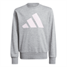 Adidas Essentials Sweatshirt Kids