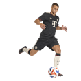 Adidas FC Bayern München 25/26 Derde Short