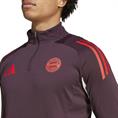 Adidas FC Bayern München Tiro 24 Training Short