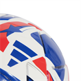 Adidas fcwc mini