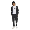 Adidas Future Icons 3-Stripes Ritshoodie Kids