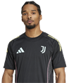 Adidas Juventus Tiro 25 Competition Training Voetbalshirt