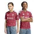 Adidas lfc h jsy y