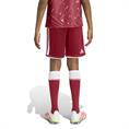 Adidas lfc h sho y