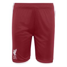 Adidas lfc h sho y