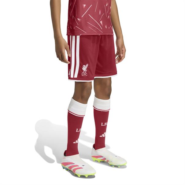 Adidas lfc h sho y