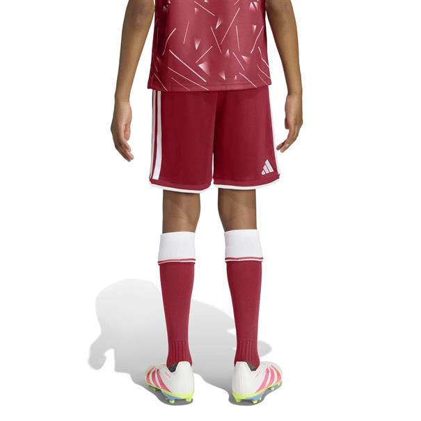 Adidas lfc h sho y