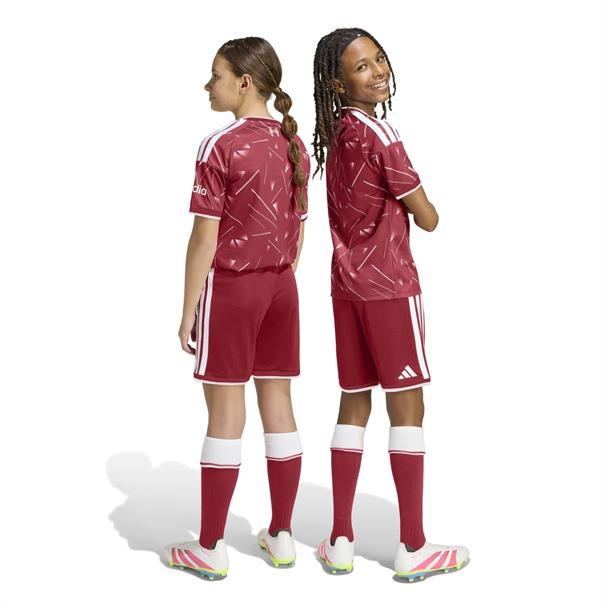 Adidas lfc h sho y