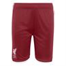 Adidas lfc h sho y