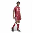 Adidas lfc h sho