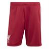 Adidas lfc h sho