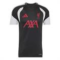 Adidas lfc tr jsy