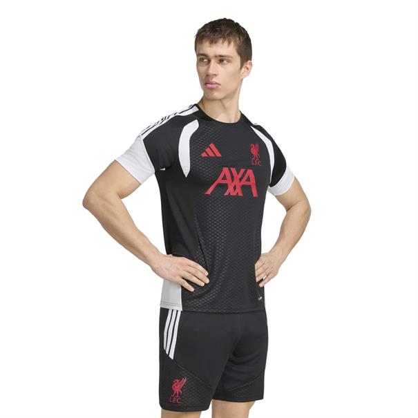 Adidas lfc tr jsy