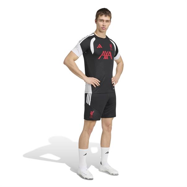 Adidas lfc tr jsy