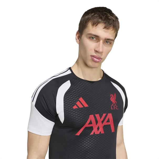 Adidas lfc tr jsy