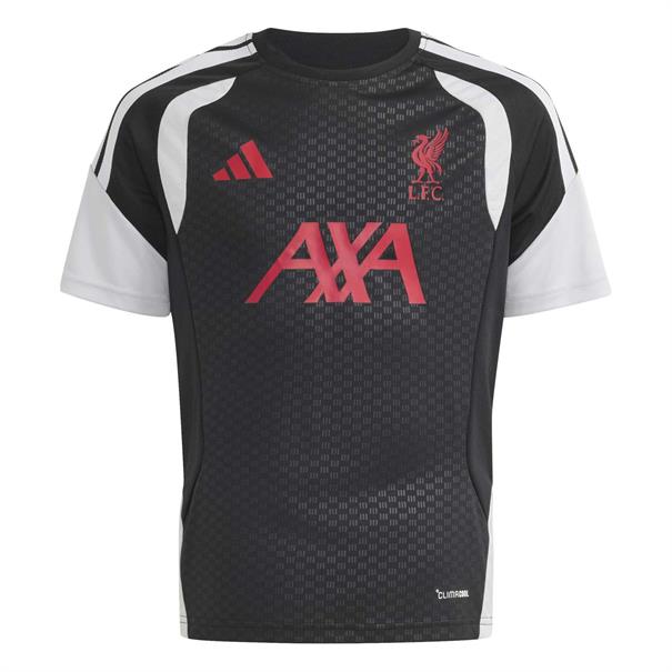 Adidas lfc tr jsyy