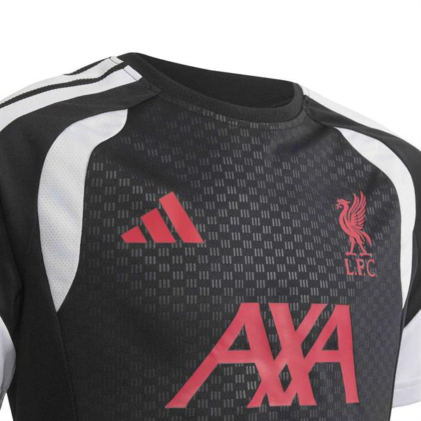 Adidas lfc tr jsyy
