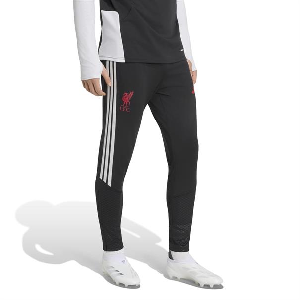 Adidas lfc tr pnt