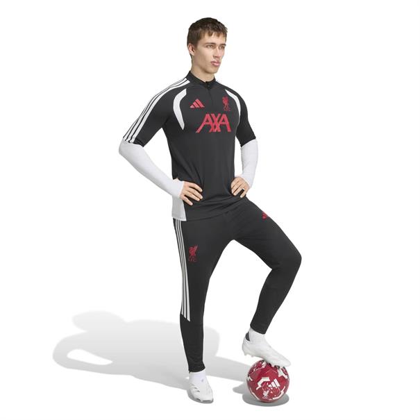 Adidas lfc tr pnt