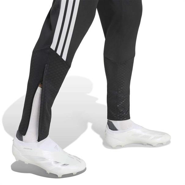 Adidas lfc tr pnt