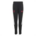 Adidas lfc tr pnty